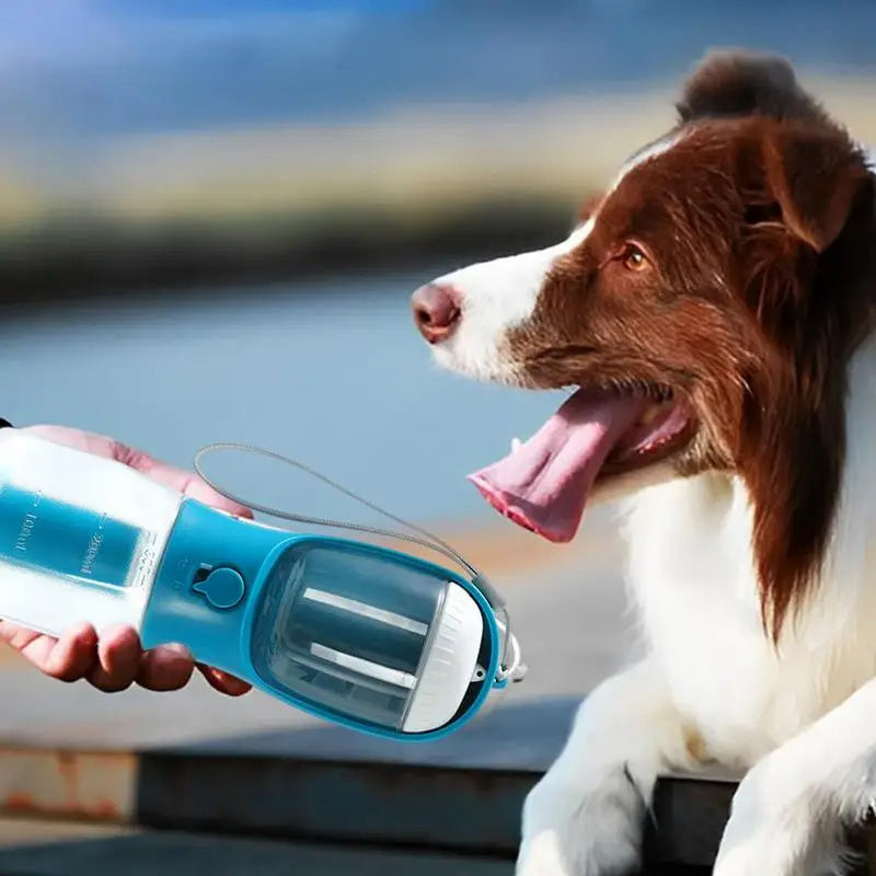 Gourde pour chien 3-en-1 : Eau, Croquettes et Sacs à déjections