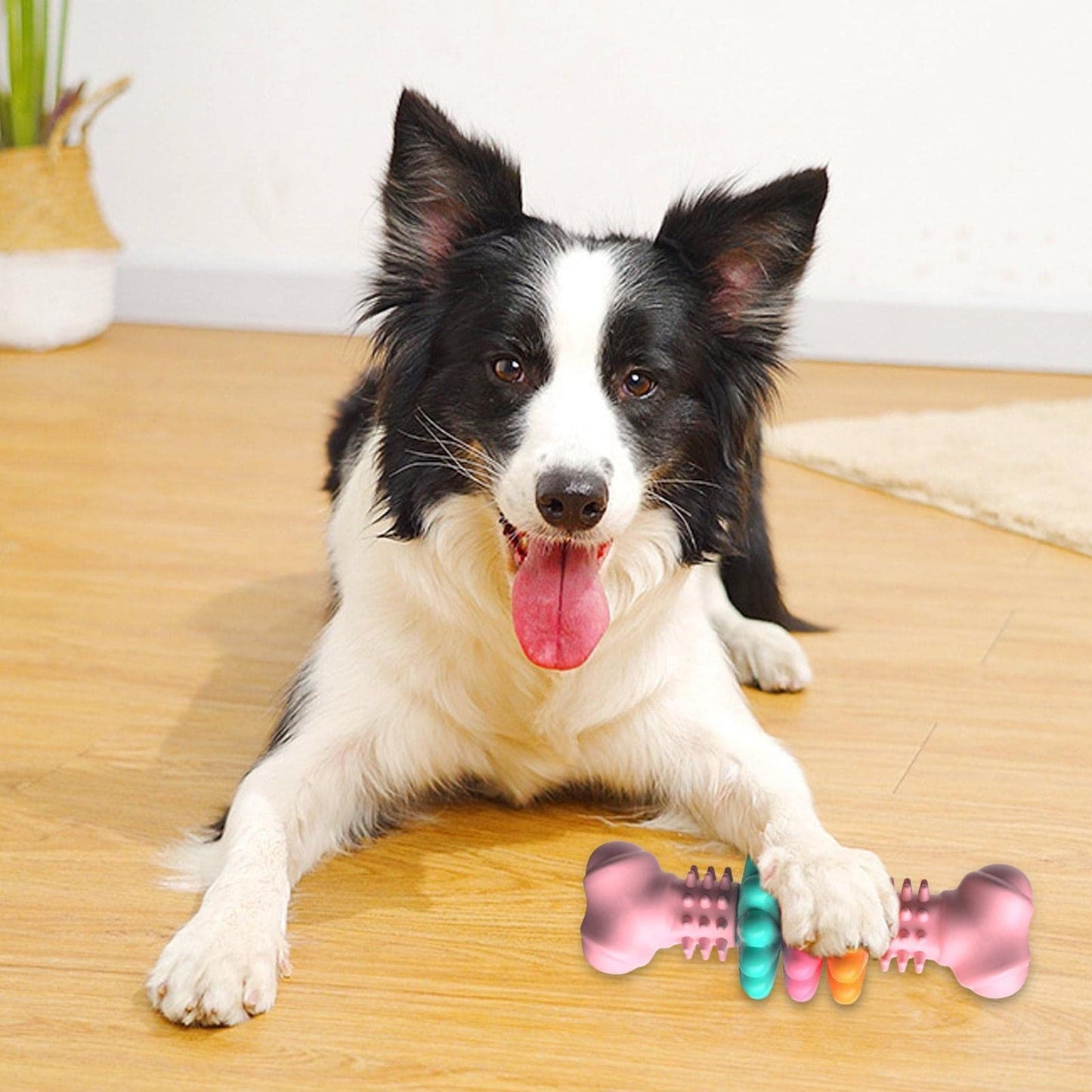 Jouet à mâcher pour chien, type os, jouets de nettoyage des dents pour chiens, os en TPR indestructible