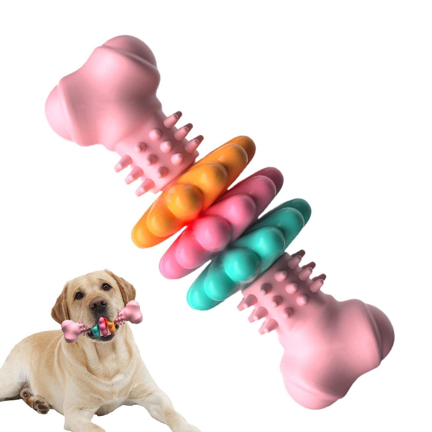 Jouet à mâcher pour chien, type os, jouets de nettoyage des dents pour chiens, os en TPR indestructible