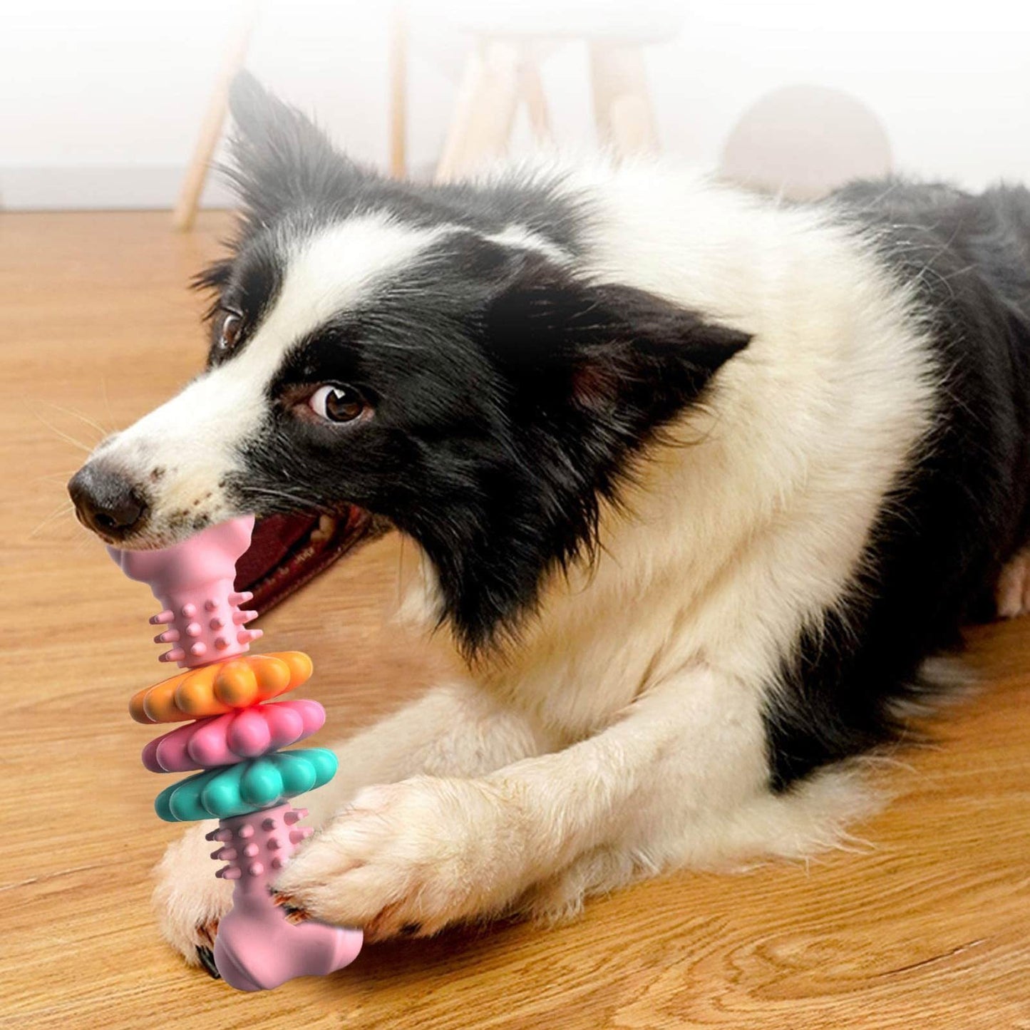 Jouet à mâcher pour chien, type os, jouets de nettoyage des dents pour chiens, os en TPR indestructible