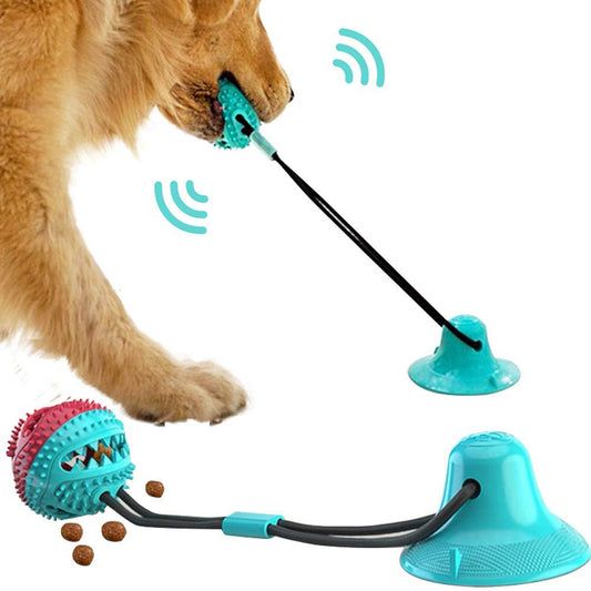 Jouet interactif en silicone avec ventouse pour chien