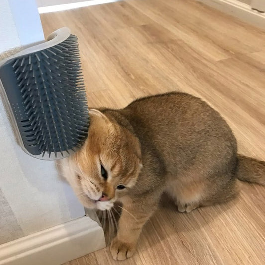 Brosse de Toilettage Autonome pour Chat – Dispositif de Frottement Mural pour Animaux